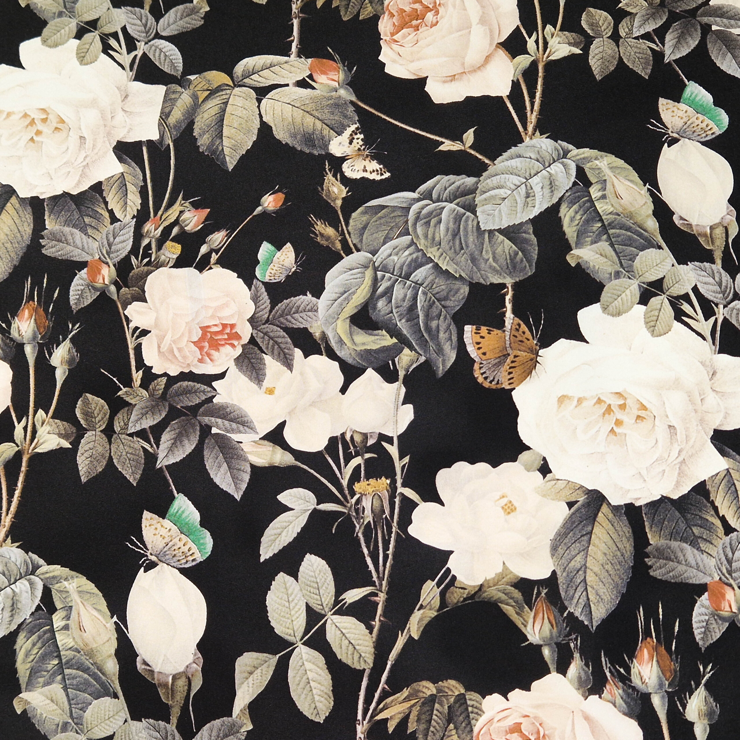 Stoff von weißen Rosen und grünen Blättern mit Schmetterlingen auf schwarzem Hintergrund.