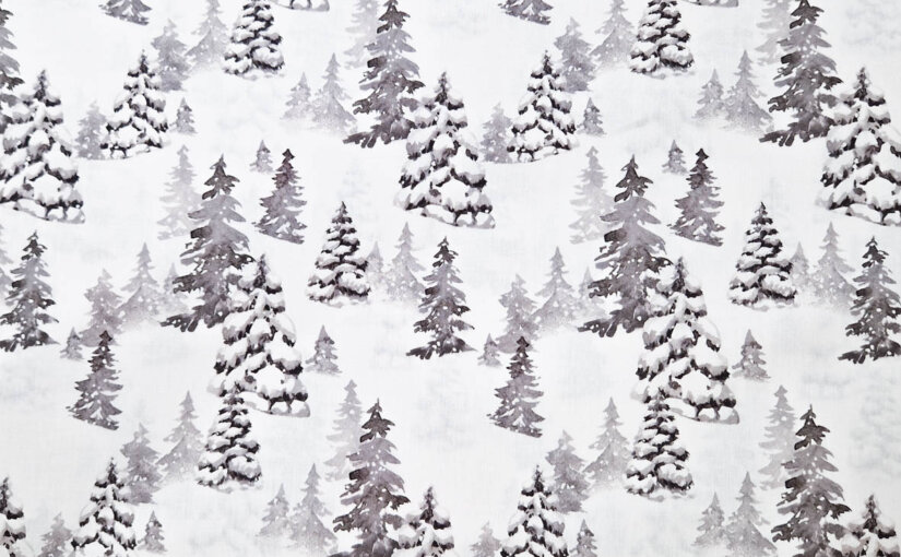 Weihnachten 25 – 05